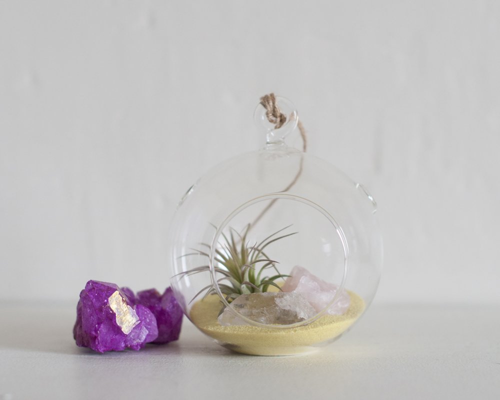 PrismaticGarden's tweet photo. Air plants + crystals make us happy!
#terrariumthursday #terrarium #airplant #airplantterrarium #crystalterrarium #crystals #minerals #geology #geologylove #plantstyling #plantlife #plantsmakepeoplehappy #plantjoy #plantdecor #plantaesthetic #myplantaesthetic #prismaticgardens https://t.co/j5roF3N691