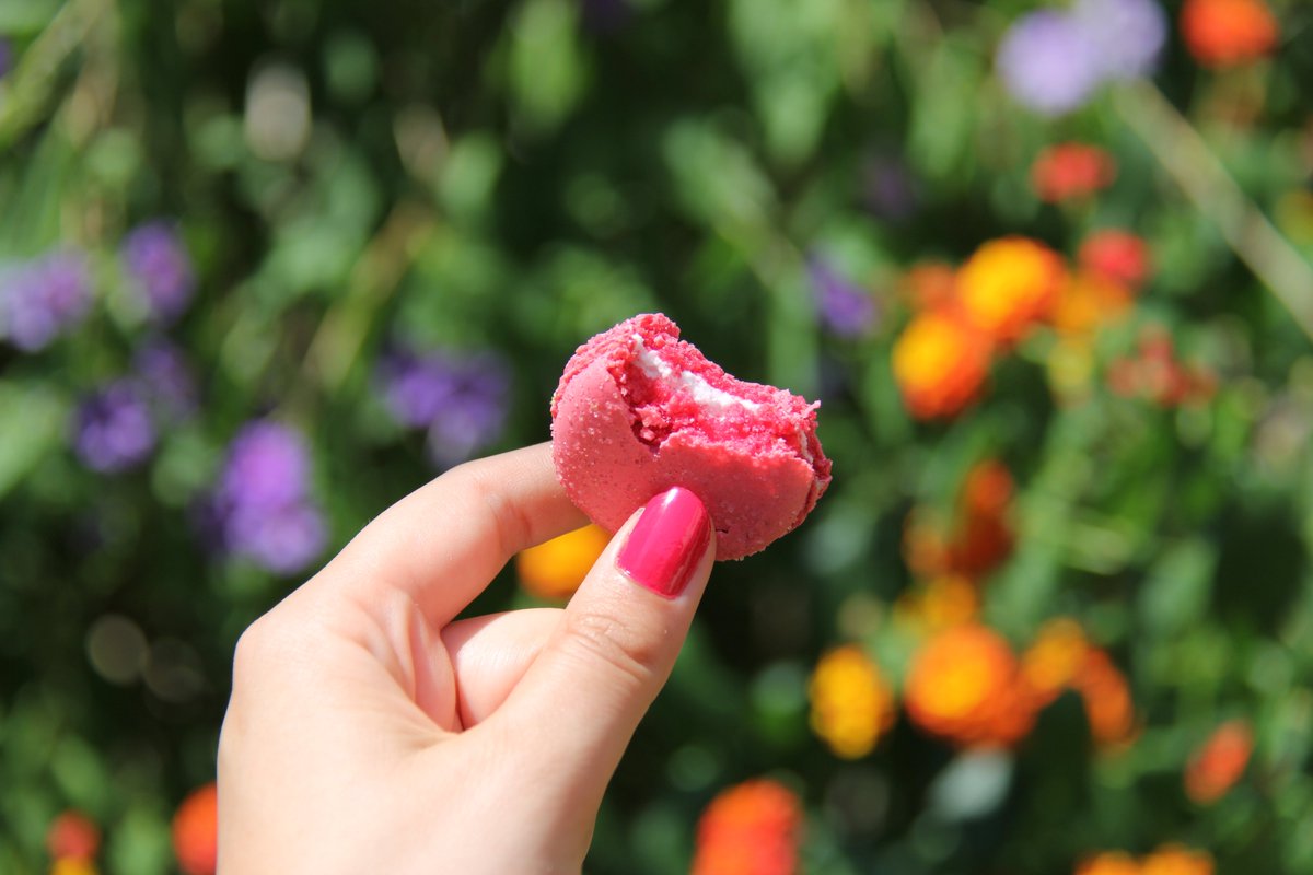 BonAppetitBox's tweet image. What we're doing today? Nothing special 🙈 Just enjoying some #Rose &amp;amp; #Raspberry #Macaroons from @LadureeUS !
Happy #Sunday to all of you from #France
