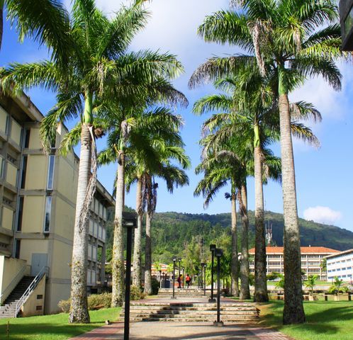 campusb's tweet image. Segunda sesión del taller de servicio comunitario será el 20 de marzo usbnoticias.usb.ve/post/54543