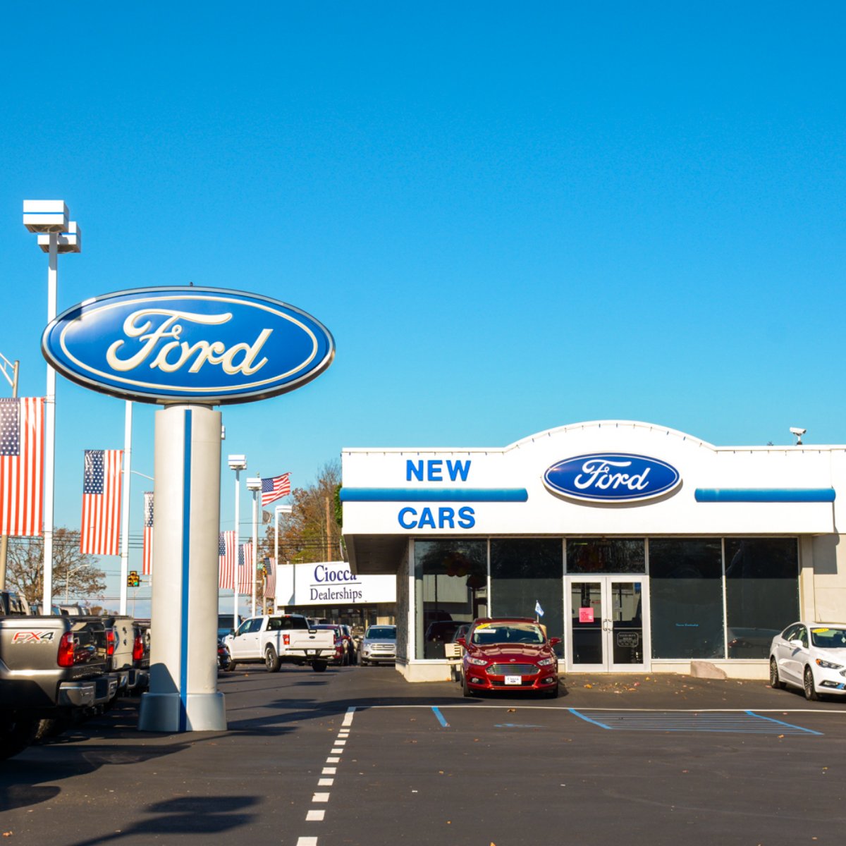 We can help you find your Focus.