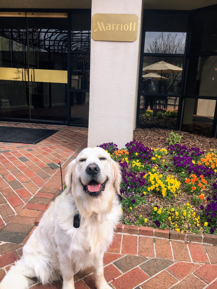 Spring is in the air! (For today at least 😉)