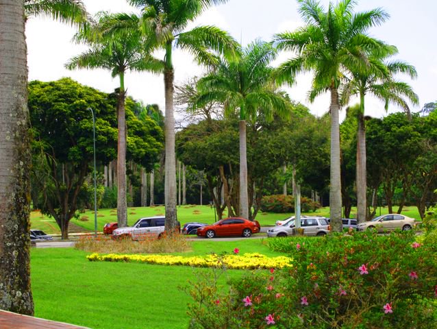 campusb's tweet image. Fallas de servicios afectan funcionamiento de la USB usbnoticias.usb.ve/post/54552