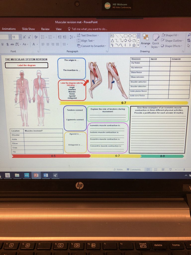 MissHeaton_PE's tweet image. AQA GCSE revision mats for skeletal and muscular system topics all sorted 🙌🏻🤓 @ShareLearnT @PE4Learning @PEgeeks #aqagcsepe #gcsepe #skeletalsystem #muscularsystem