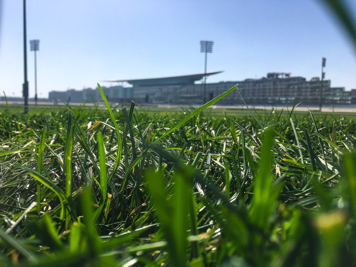 Shaney_Mullins's tweet photo. Meydan.. a break from the madness of Dubai https://t.co/ymxVckClJT