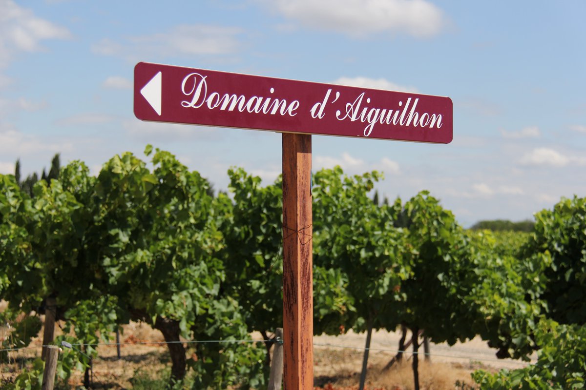 BonAppetitBox's tweet image. #ThirstyThursday
Current status: Enjoying some #wine tasting in the #SouthofFrance 🍷 #winetasting #France #redwine