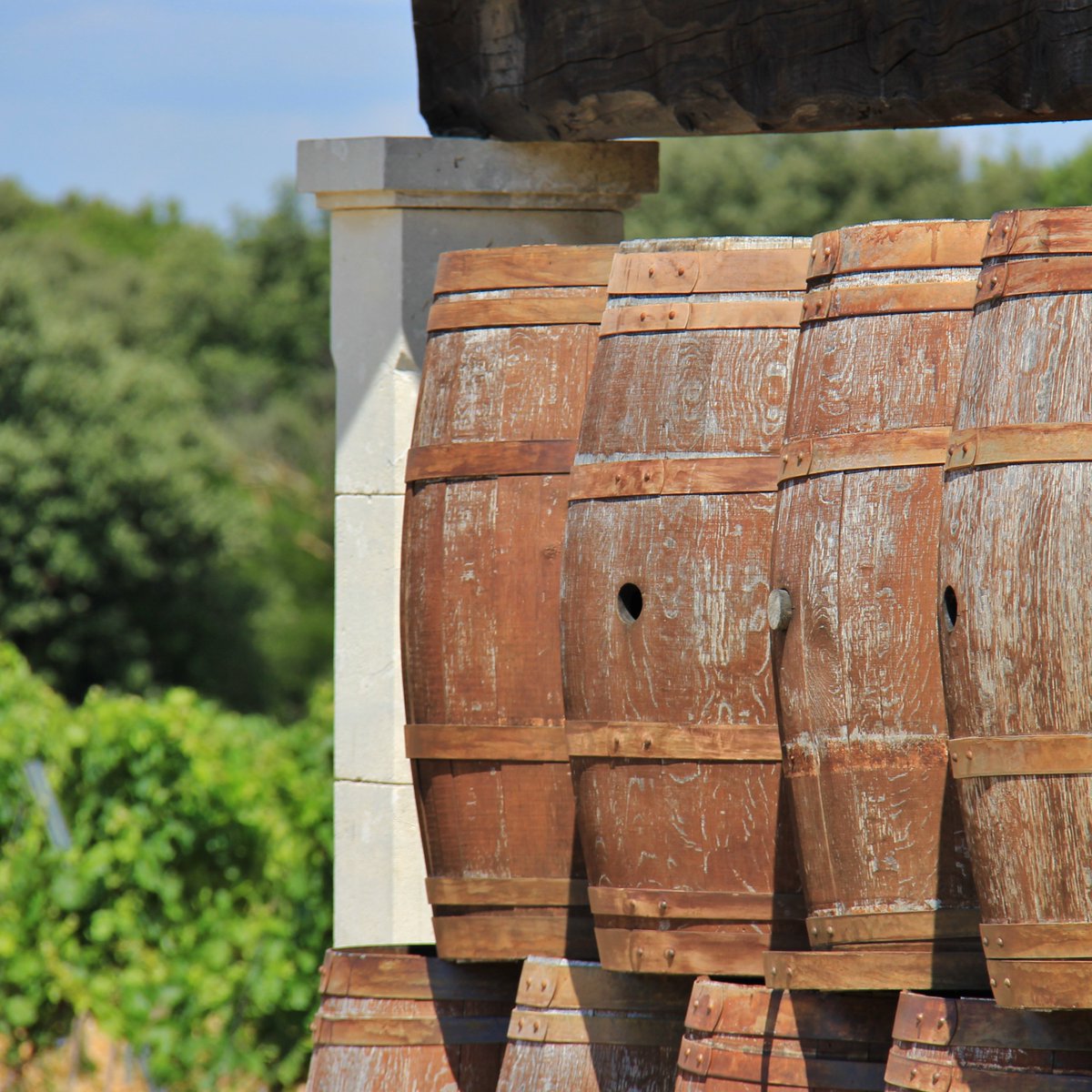 BonAppetitBox's tweet image. #ThirstyThursday
Current status: Enjoying some #wine tasting in the #SouthofFrance 🍷 #winetasting #France #redwine