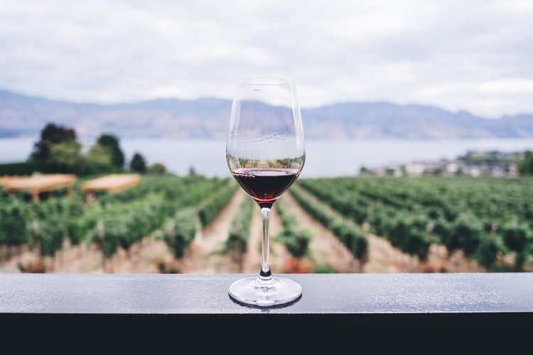 BonAppetitBox's tweet image. #ThirstyThursday
Current status: Enjoying some #wine tasting in the #SouthofFrance 🍷 #winetasting #France #redwine