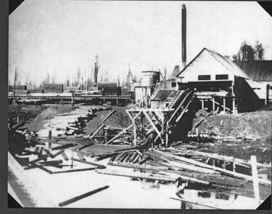 Tourism PG tweet media