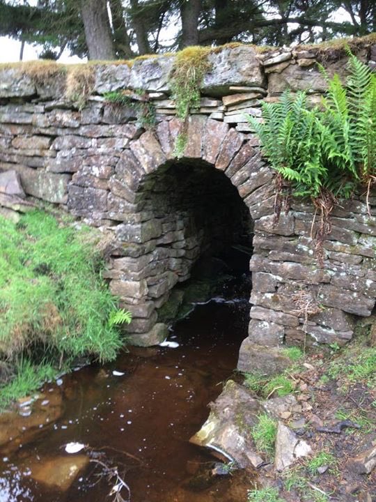 RJCOD's tweet photo. Save Smiddy Burn Bridge Stanhope Common. Durham County Council have recommended to approve an Application from a Game Hunting Organisation to Replace it. Not Restore it. Not Repair it. Not Reinstate it but Replace it. Please share if you want to save the Smiddy Burn Bridge. https://t.co/O81JNidKpu