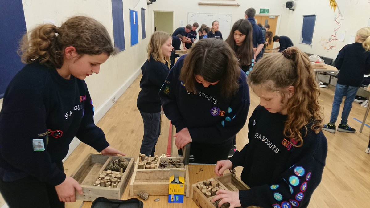 1stMaidenhead's tweet photo. Tonight the #seascouts are finishing off their #bugboxes! #drills #hammers #nails #wire #Maidenhead https://t.co/SNE9FIlxRF