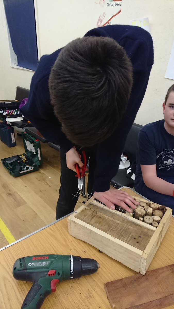 1stMaidenhead's tweet photo. Tonight the #seascouts are finishing off their #bugboxes! #drills #hammers #nails #wire #Maidenhead https://t.co/SNE9FIlxRF