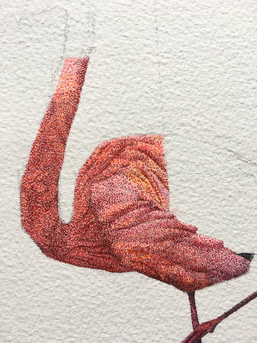 Rybena_'s tweet photo. Oh I started working in colour and DAMN it’s pretty hard. These pens tend to bleed into eachother a lot too so that’s not helping with fine details lmao https://t.co/ZTzCXTqhiE