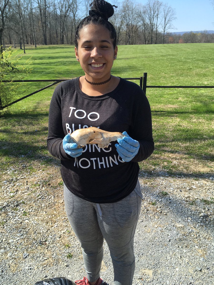 HixsonFFA's tweet photo. Hey @tnwildlife while cleaning up trash on your Sutton Tract WMA in Hixson we found a cool skull. #wildlife #TeachAg #livingtoserve https://t.co/RfKvT1Eedr