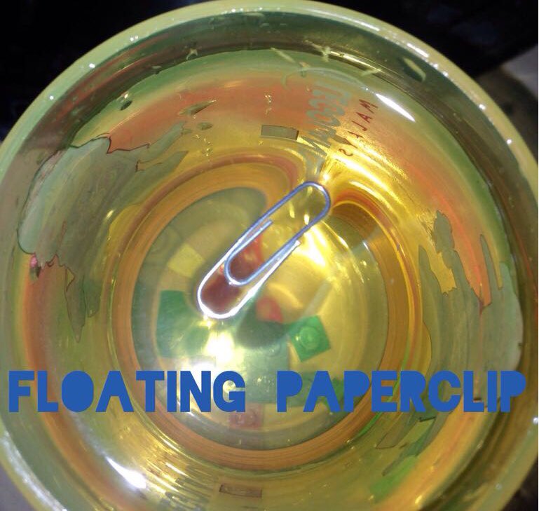 Science week challenge: Choppy (6N) and Yusuf (1B) have made the paper clip float! <a href="/ScienceWindmill/">Windmill Science</a>