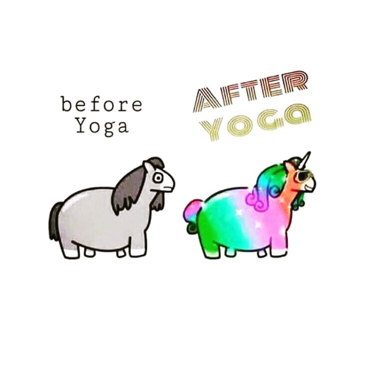 wh_yoga's tweet photo. There's going to be a lot of unicorns in the #Derbyshire area next Tuesday!  Response to our class has been amazing! https://t.co/iNtKFjFrjz
