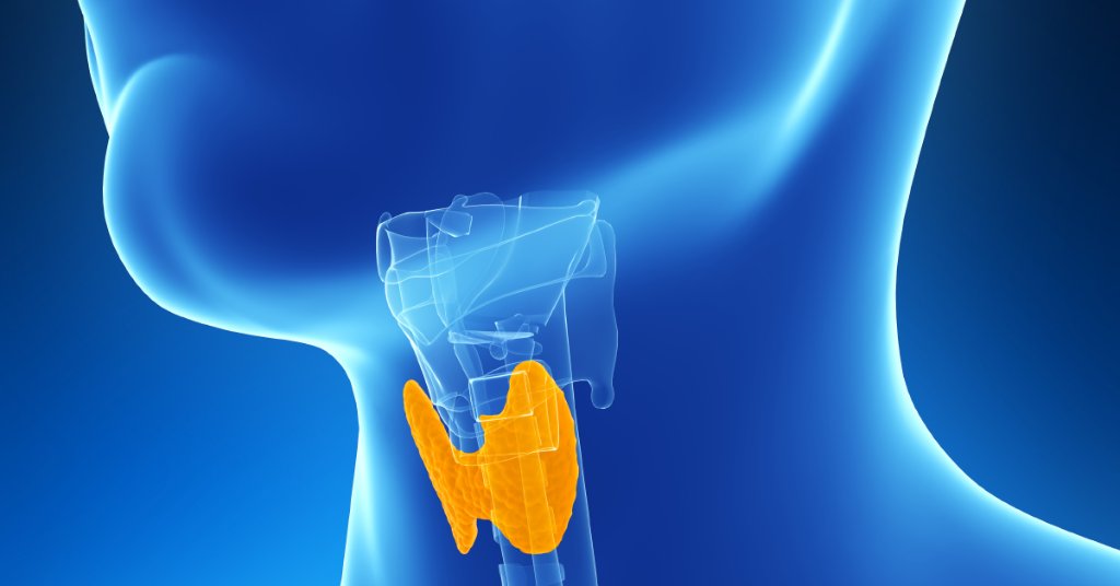Even a thyroid functioning at the lower end of the normal range may cause weight gain. What you need to know: wb.md/2tHASGq