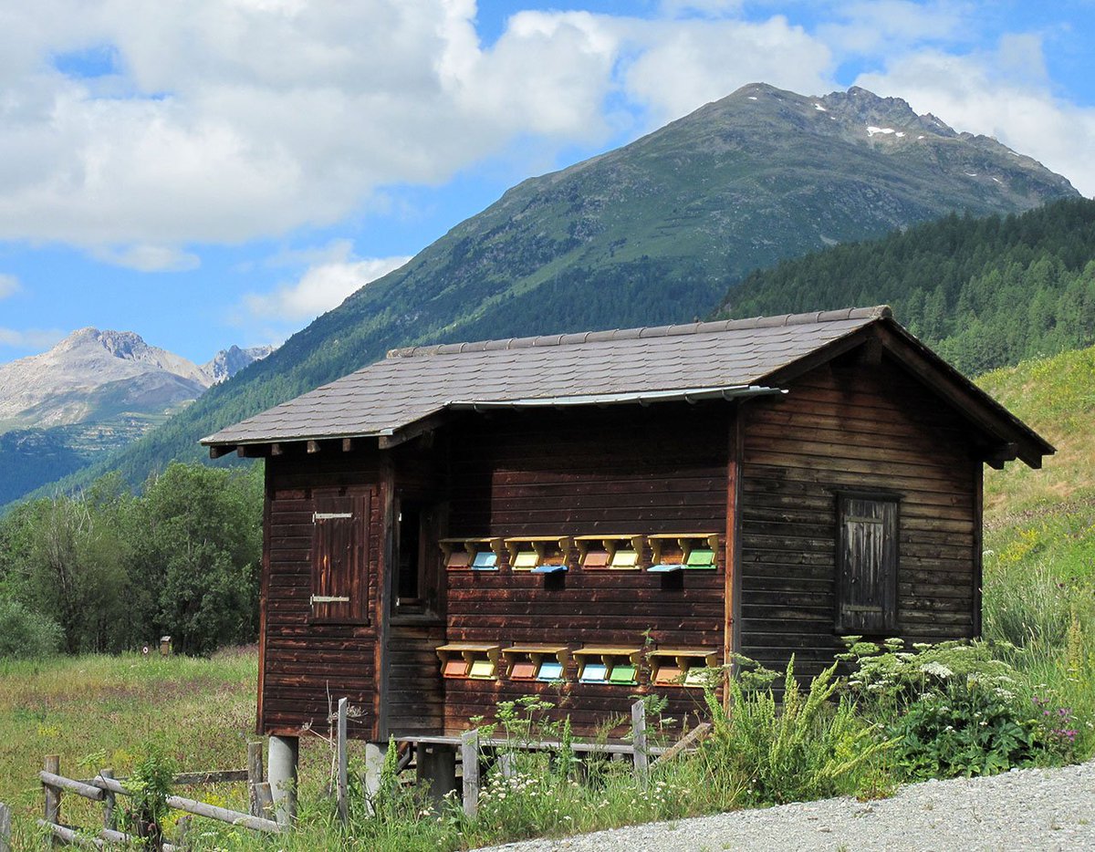 Most bee houses were purely agricultural structures, and were often located in the orchards of farms or estates, or scattered around agricultural land to help primarily in pollination. They would have been built in the local vernacular style with the cheapest possible material.