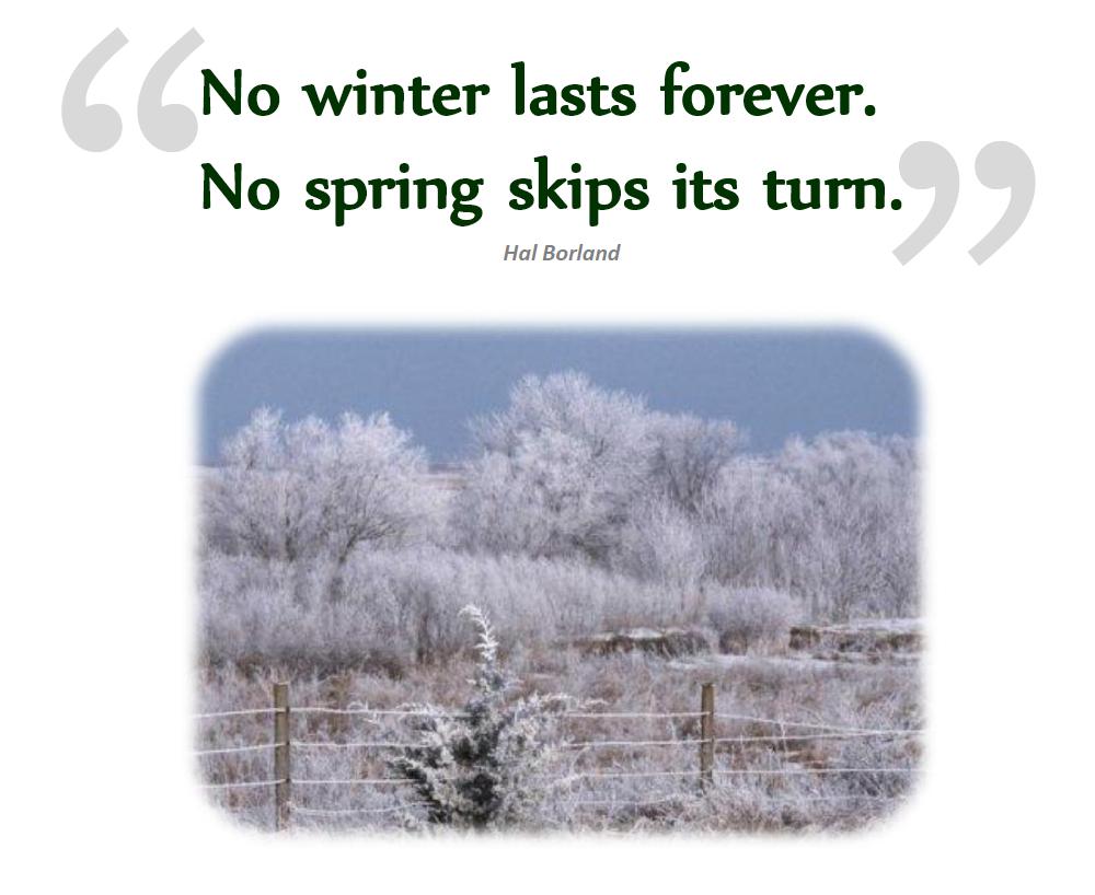 Heat_Trace's tweet image. Winter is still lingering, March has produced much snow and ice......
#heattraceproducts,#icedamprevention,#heattracecanmeltyourice,#callmeforhelp