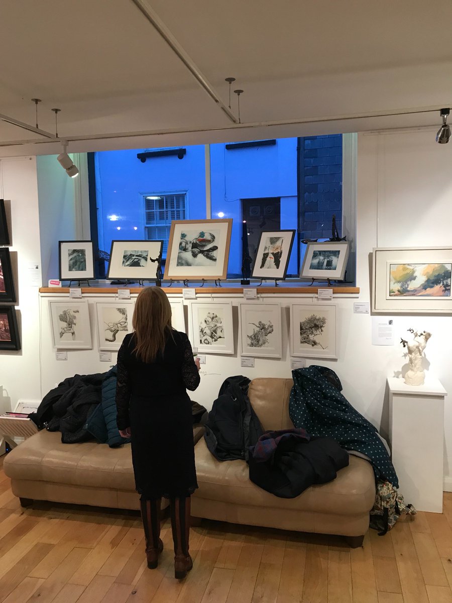 DrawntoDevon's tweet image. A line up of my framed prints in the window @ARTatBROWNSTON Modbury for the @SWAcArt Group Show opening tonight. Beautiful Gallery showing work by fellow South West Academy artists.