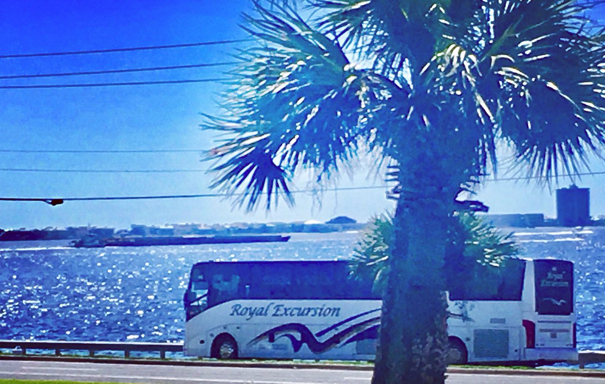 royalexcursion's tweet image. 