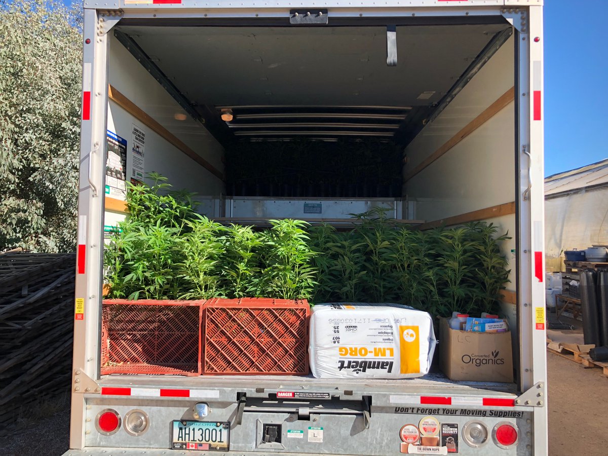ClonesBros's tweet photo. On the road again with your high grade cannabis clones &amp; teens. #CaliBound 

To place your order visit, https://t.co/KJ7s3HQ6lh. https://t.co/endgVvjr6I