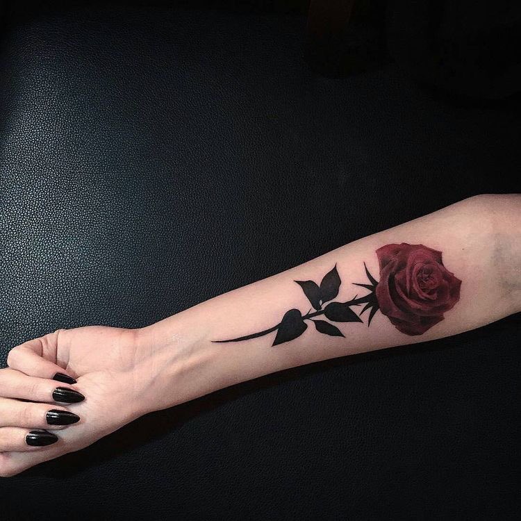 “A rosa representa a beleza e a vaidade, para muitos também representa a beleza exterior e interior e para outros representa o amor e a paixão”