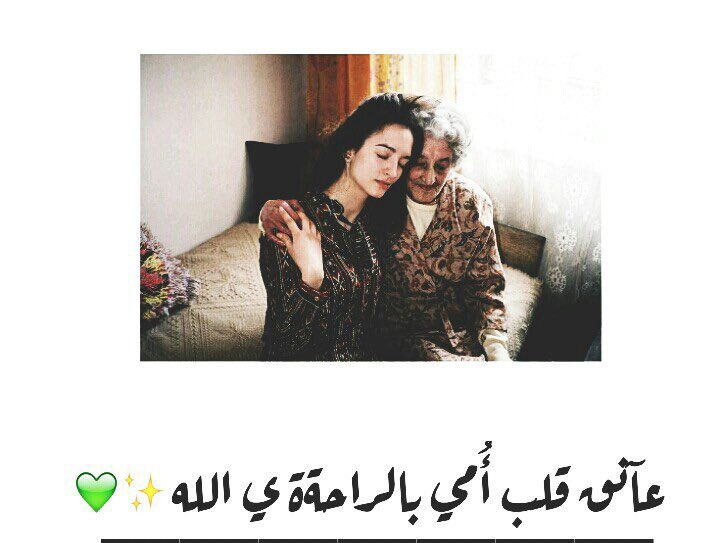 شُــوق 🇸🇦 tweet media