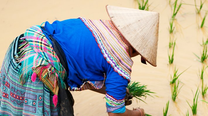 UN Biodiversity tweet media