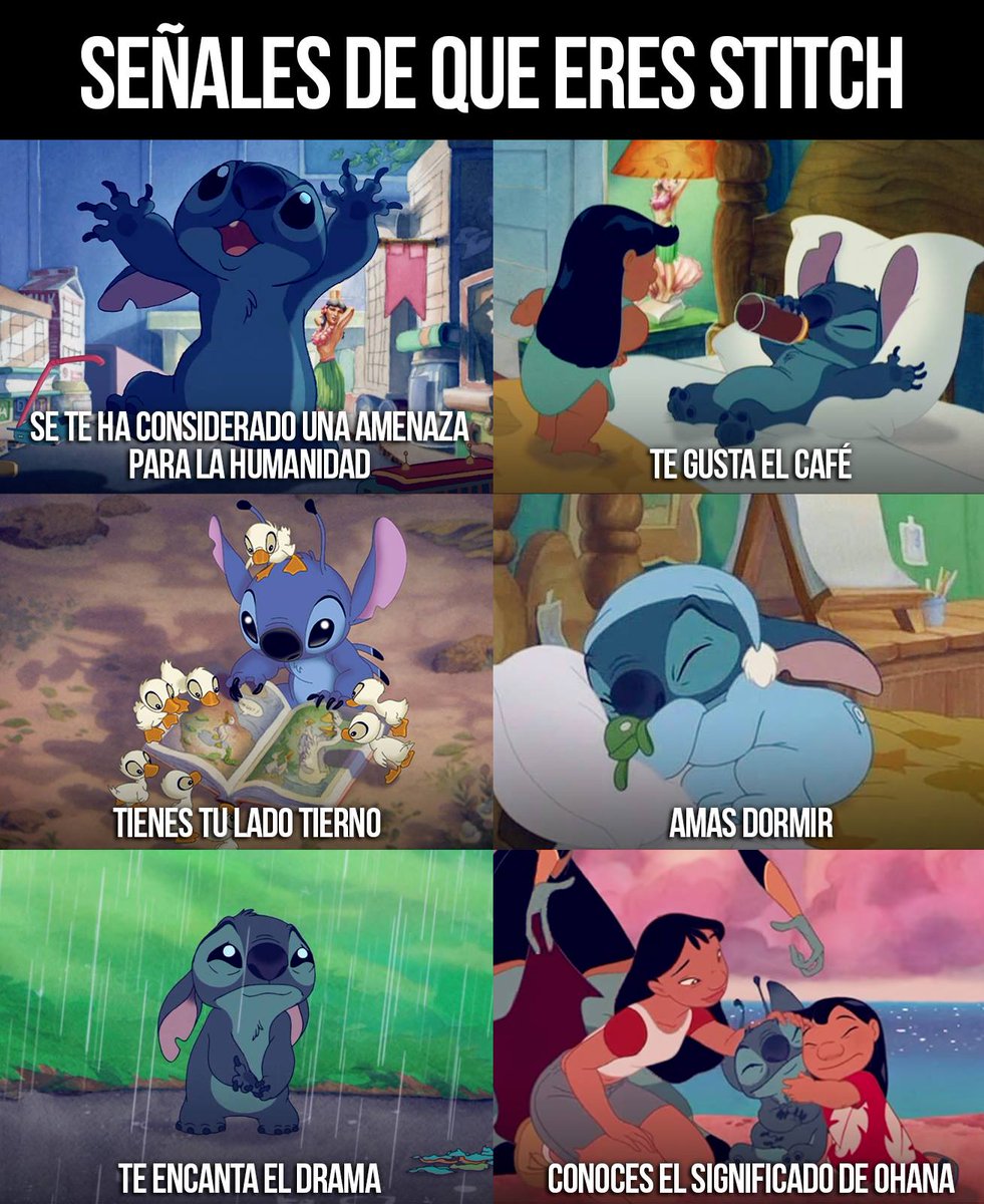 MagicMundi's tweet photo. ¿Eres Stitch? 😂 https://t.co/fxZQgIfdfH