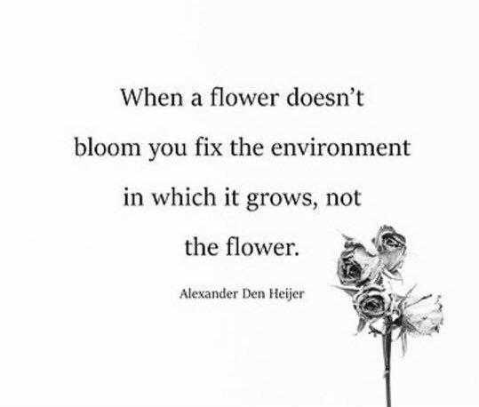 CglenEnglish's tweet photo. Love this #fixtheenvironment #nottheflower 💙 https://t.co/IgVsfq9Mm0