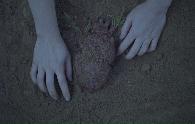 𝙴𝚗𝚐𝚛. 𝙼𝚘𝚑𝚊𝚖𝚖𝚎𝚍 𝙰𝚕𝚉𝚞𝚋𝚊𝚒𝚍𝚒 tweet media