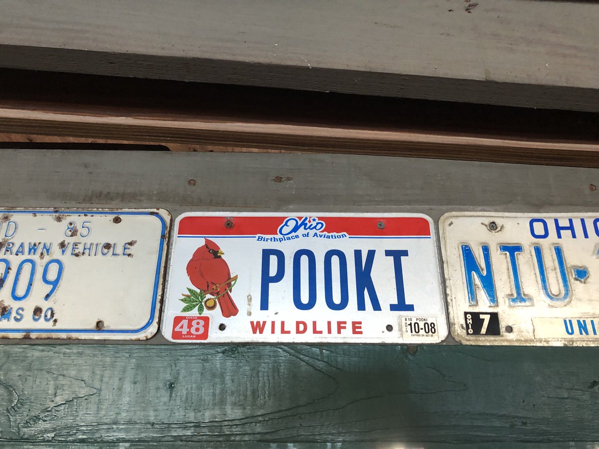 AnimalHungry's tweet image. In a bar in Key West #poolnation #missinganE @pookiematthes @pulpmx