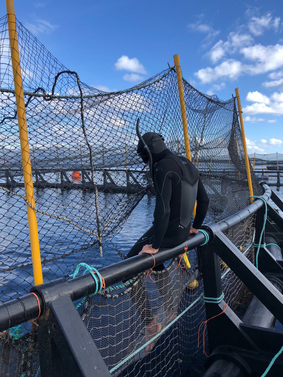 Honored to have 10-time Paddleboard World Champion &amp; Professional Big Wave Surfer 🏄‍♂️ <a href="/jamiemitcho/">Jamie Mitchell</a> swimming with our striped bass for his upcoming documentary #JourneyoftheWaterman which follows his journey to learn more about sustainable aquaculture around the world. 🤙🐟✅