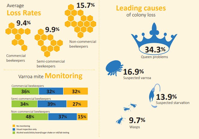 MPI_NZ's tweet photo. Bee colony losses in New Zealand continue to be significantly lower than many other countries, according to our third annual survey on bee colony losses. 🐝🍯
Annual hive losses were reported at 9.84% overall. https://t.co/GTetmkRZT6 https://t.co/0j9oYnMiXR