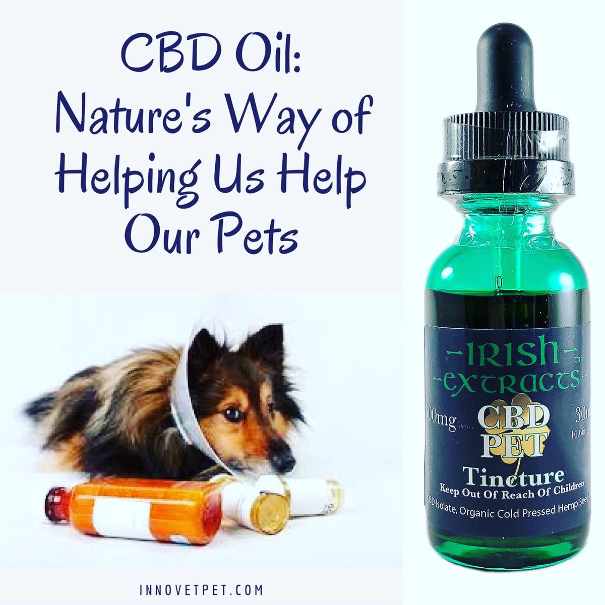 IrishExtracts's tweet photo. Don't waste your money on expensive med for your fur friend let #IrishExtracts  help you with 500mg of pure CBD mixed in 100% organic hemp seed oil. Hemp seed oil has been proven to be great for animals  #CBD #Hempoil #organic #cbdlife #cbdforpets #cbdheels #CBDTincture https://t.co/vprlktL4vi