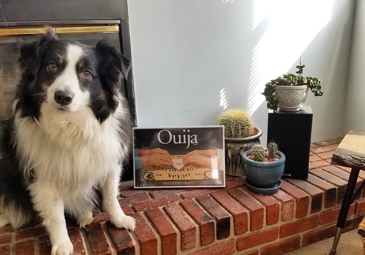 Spooky_Spouses's tweet photo. @ColinMParker sent us a Ouija Board and now we're super haunted, OK?!?! Please let it be known that Colin Parker is a wonderful human being. @OuijaTheMovie #ScavFam #OuijaBoard https://t.co/OyPvlwgdNG