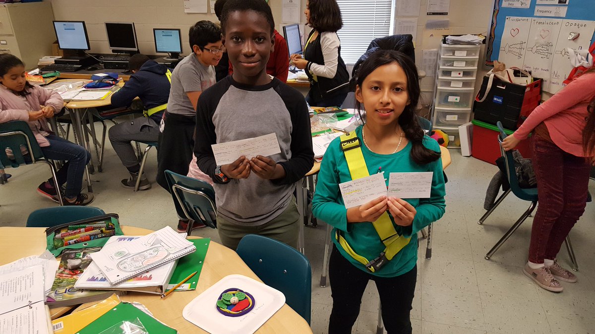 mnesputnam's tweet photo. Cells, cells, they're made of organelles...
Creating and labeling a plant cell's organelles and functions. #handsonscience @MNEStheBest https://t.co/OQk08qemIb