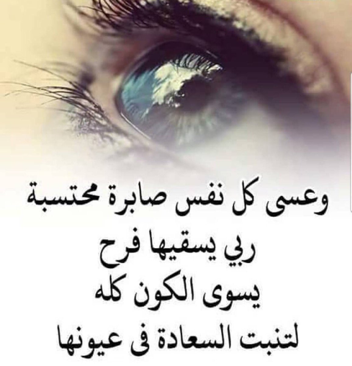 mmnnbbcc9891's tweet photo. https://t.co/Ma4tVVkZpR