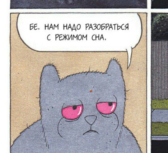 dzyabiNBA's tweet photo. Давно пора-.-

#anime #аниме #japan #korea #cute #kawaii #kpop #cat https://t.co/Ln2lg1ts2U
