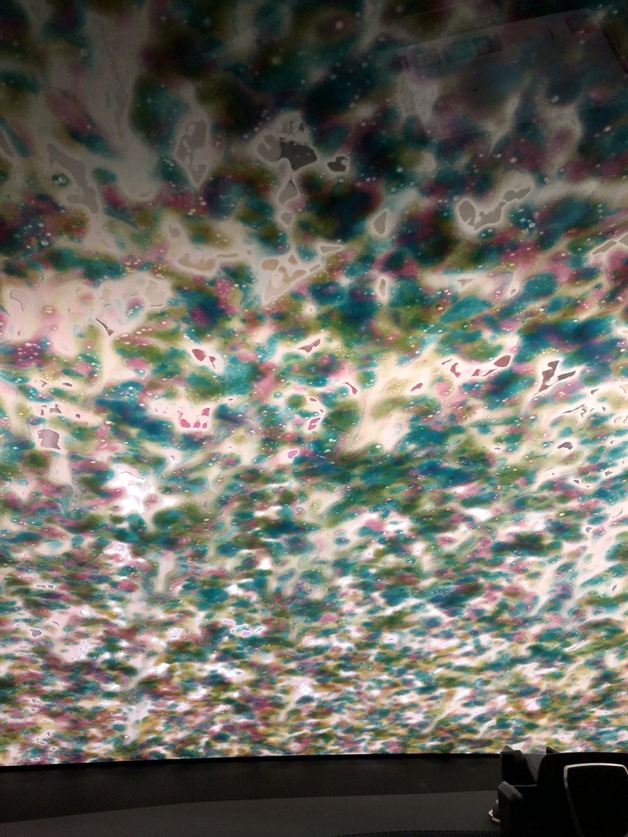 TeslaXperience's tweet photo. Funky car wash shampoo! https://t.co/YcznpMfywX
