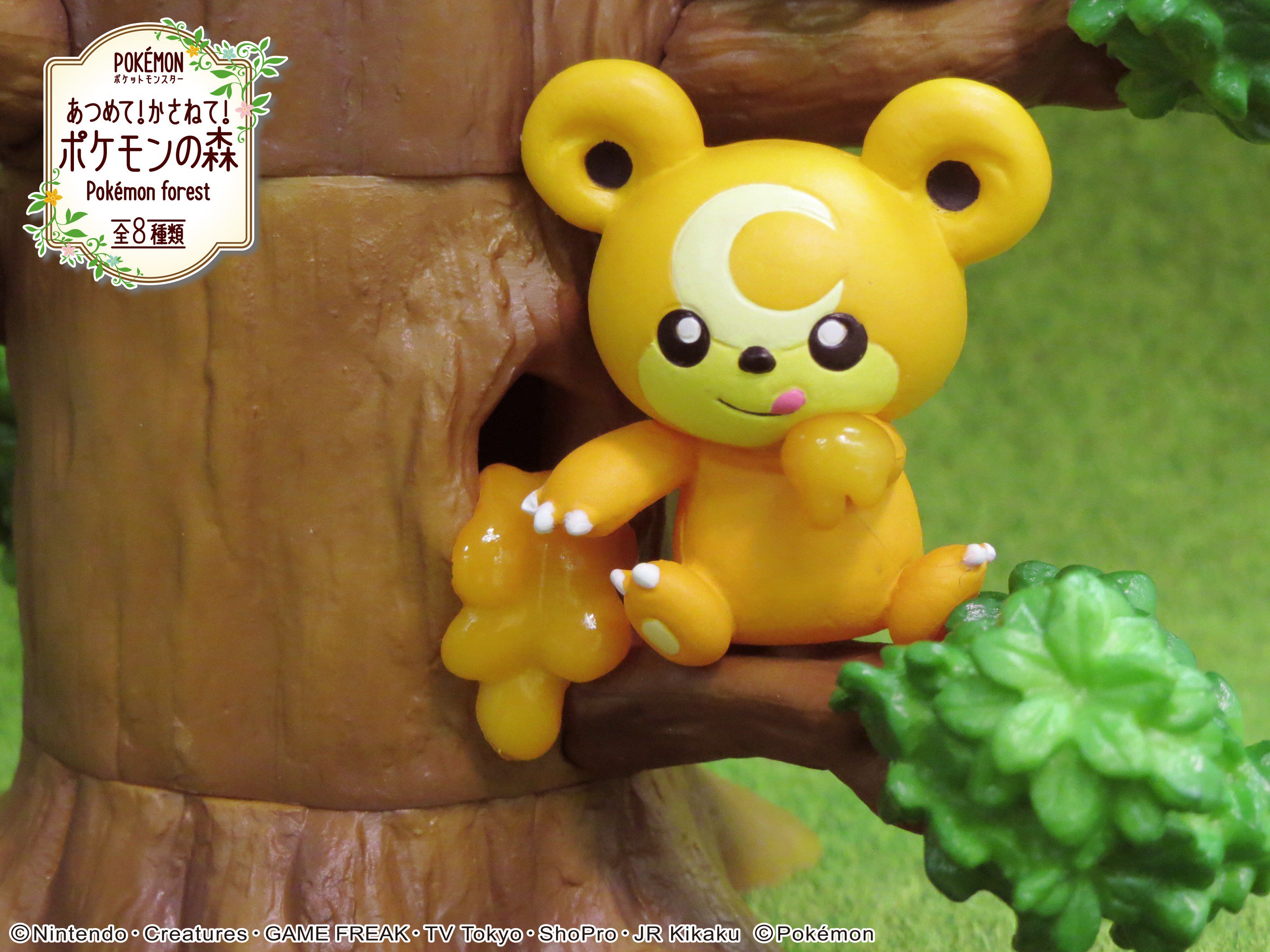 あつめて！かさねて！ポケモンの森 ポケモン Pokemon Forest
