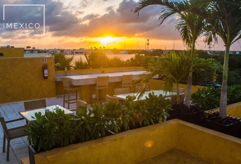 iMexicoRE's tweet photo. Exclusivos Departamentos #LUNADABeachCondo, en #PlayadelCarmen cerca de la #5taAv.
#imexico #vacationrentals https://t.co/9jTW0zEiGq https://t.co/7pnk7NccDZ