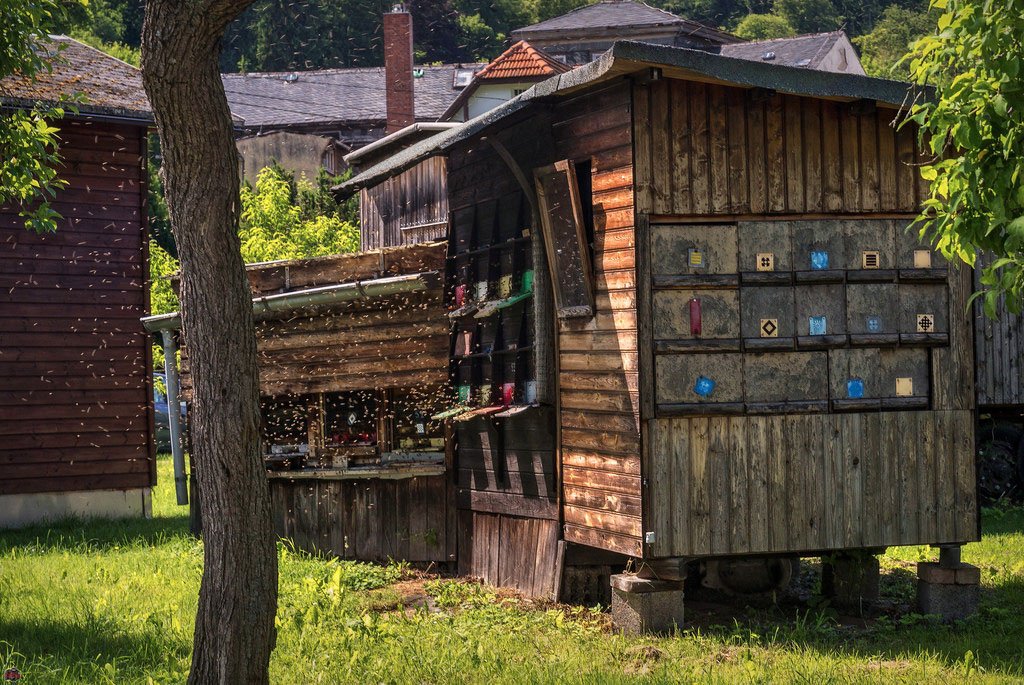 Surviving bee houses can be found all over Europe, here is a selection of beautiful one from Slovenia, Germany, and Switzerland. Modern bee houses are usually wheeled, to allow for strategic placement during pollination. Renting bee hives is more profitable than honey or wax!