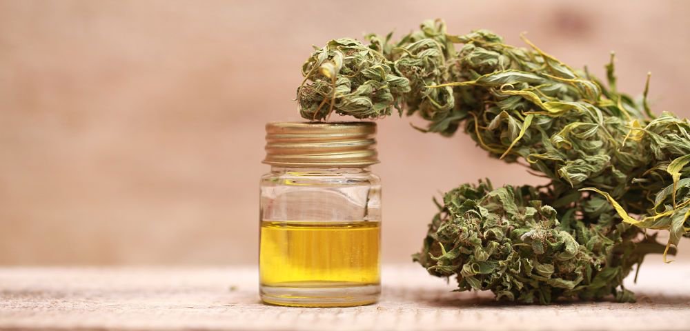 ConcentrateLove's tweet photo. How Emerging Trends Within the Cannabis Market Could be a Major Tailwind for Radient Technologies https://t.co/i5OY4lkBXc https://t.co/XCdHWQiaaE