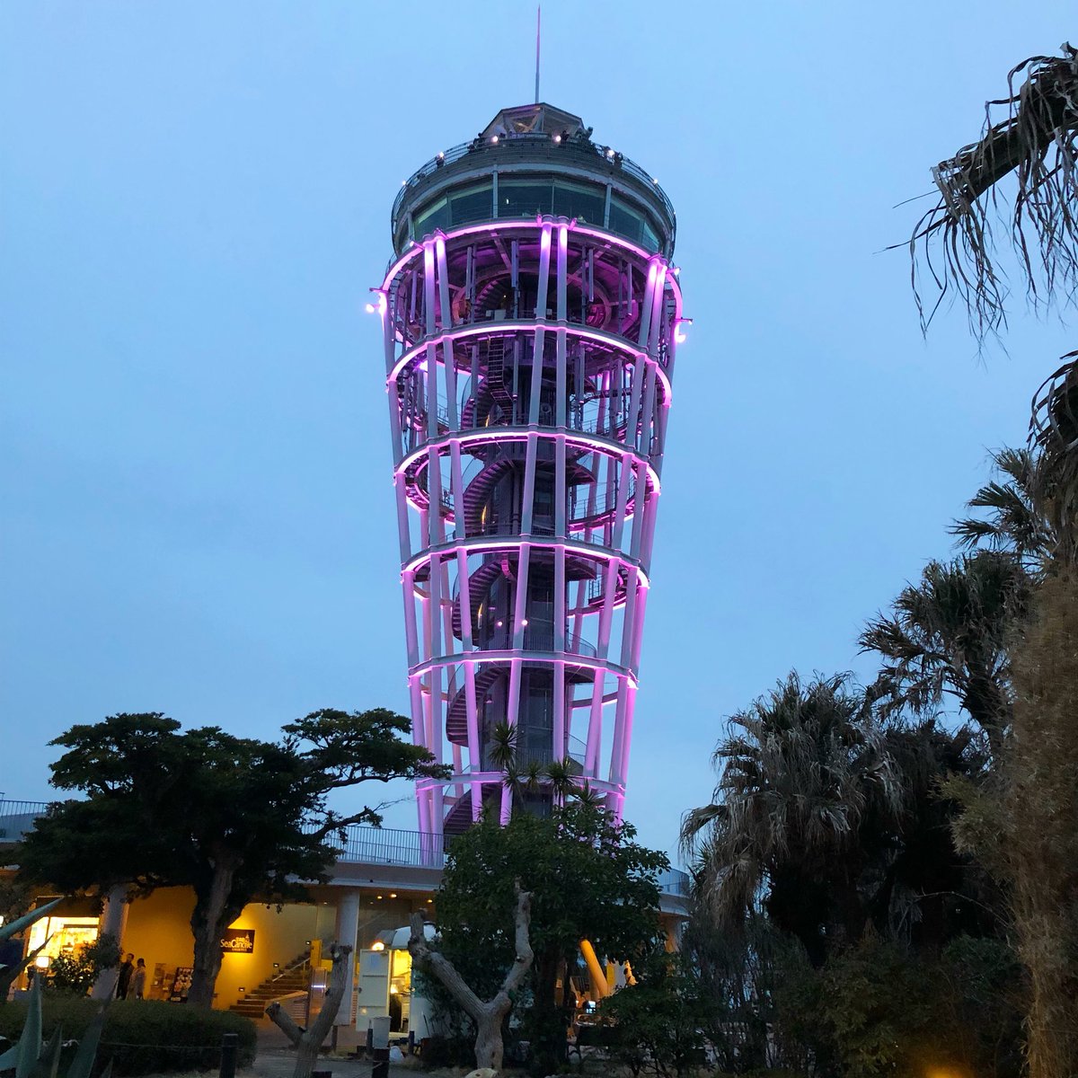 Kogepan56 こげぱんごろう 神奈川 江ノ島 江の島 江の島シーキャンドル イルミネーション 夜景 江の島展望灯台 江の島展望台 T Co Xqldbea1fa Twitter