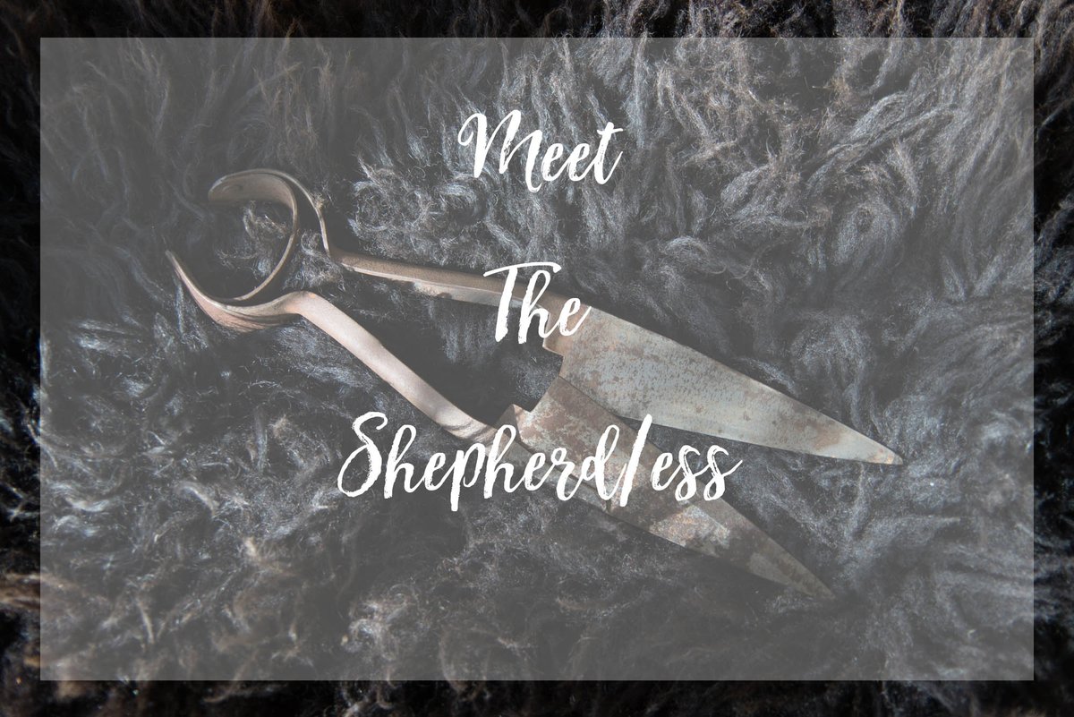Getting ready for this exciting event on Sunday - edinyarnfest.com/meet-the-sheph…  #meettheshepherdess2018