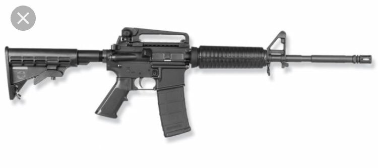 campaign_f's tweet photo. Tell me which one you think is an assault rifle and should be banned. https://t.co/PIfmVjEP3c