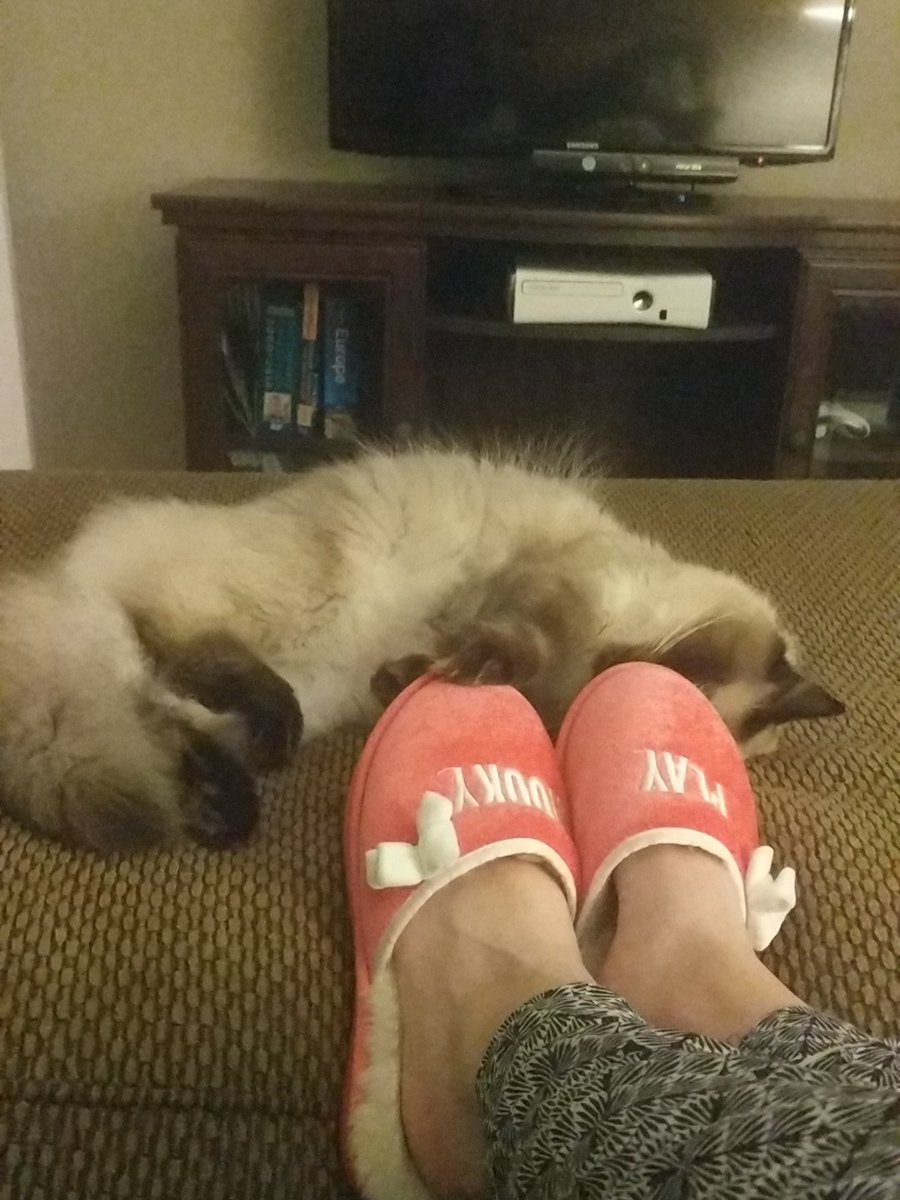 Kate Stous tweet media