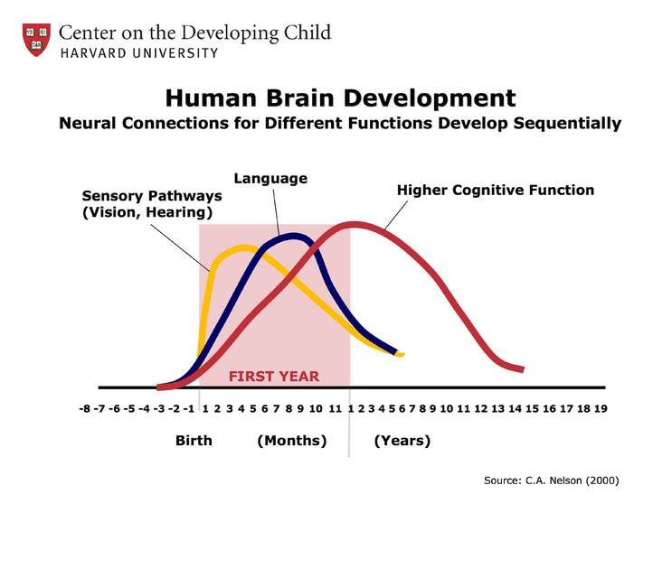 로즈마리/roseƸ̵̡Ӝ̵̨̄Ʒ tweet media