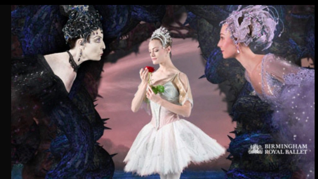 WOW! We loved #BRBSleepingBeauty tonight. Truly awe inspiring thank you <a href="/BRB/">Birmingham Royal Ballet</a> <a href="/theCentre/">Wales Millennium Centre</a> great company <a href="/youthcymru/">Youth Cymru</a> 😊🎶
